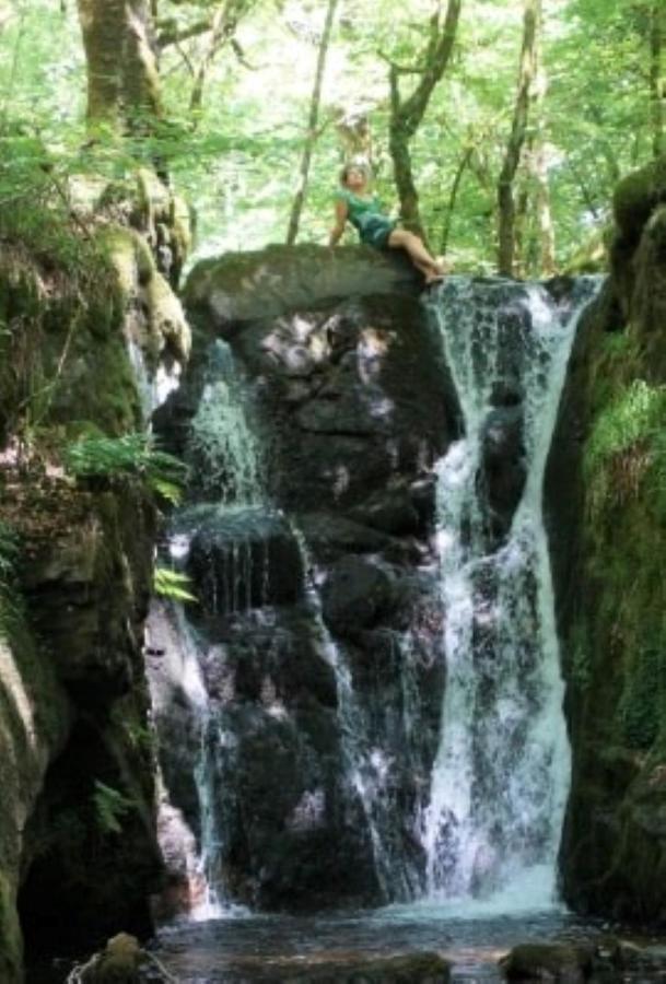 Le Parc Des 4 Saisons Bed & Breakfast Correze Bagian luar foto