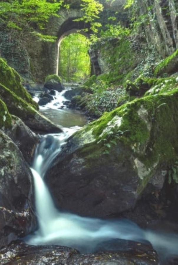 Le Parc Des 4 Saisons Bed & Breakfast Correze Bagian luar foto