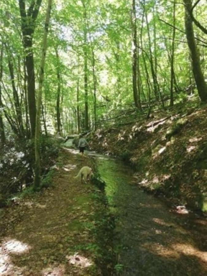 Le Parc Des 4 Saisons Bed & Breakfast Correze Bagian luar foto