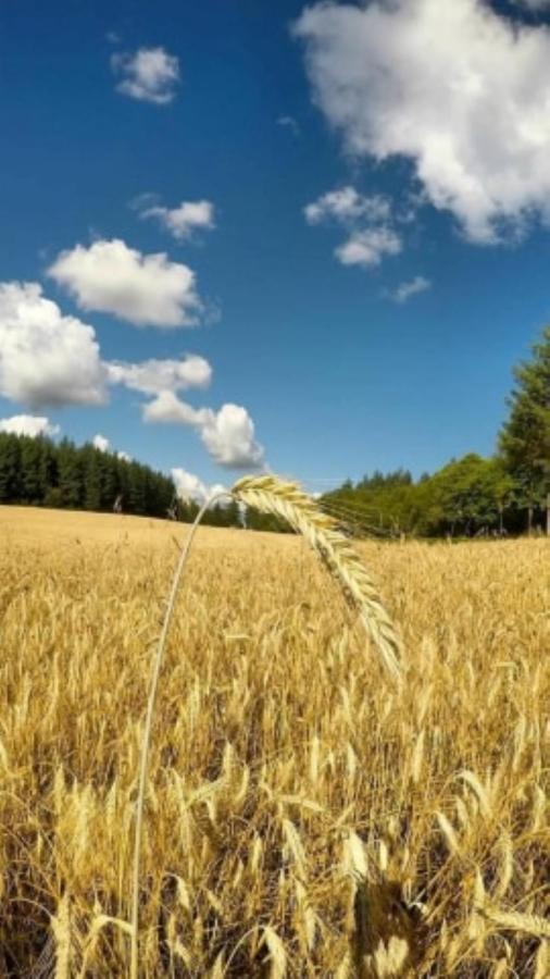 Le Parc Des 4 Saisons Bed & Breakfast Correze Bagian luar foto
