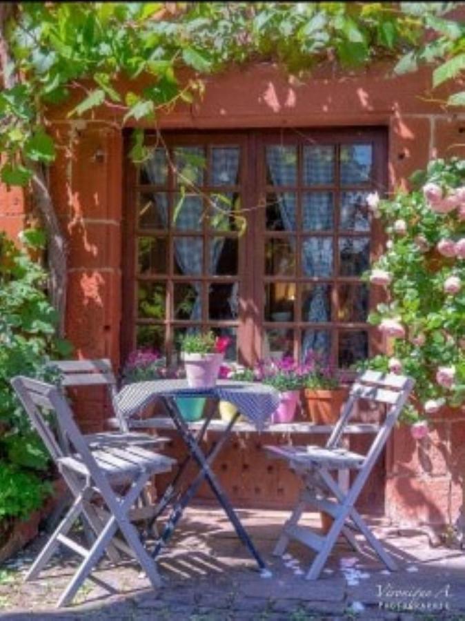 Le Parc Des 4 Saisons Bed & Breakfast Correze Bagian luar foto