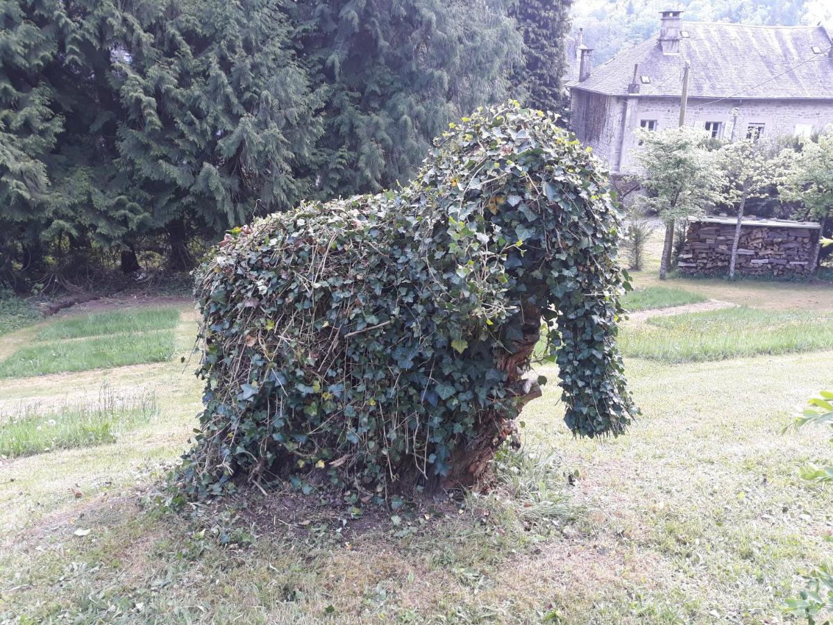 Le Parc Des 4 Saisons Bed & Breakfast Correze Bagian luar foto